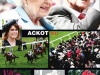royal-ascot-on-anton-2012